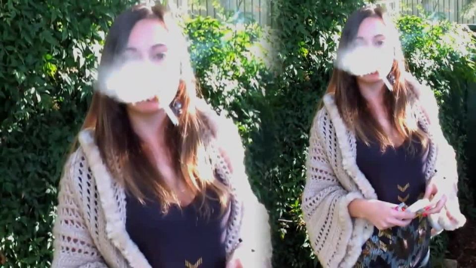 Ashley Smoking Model House #731